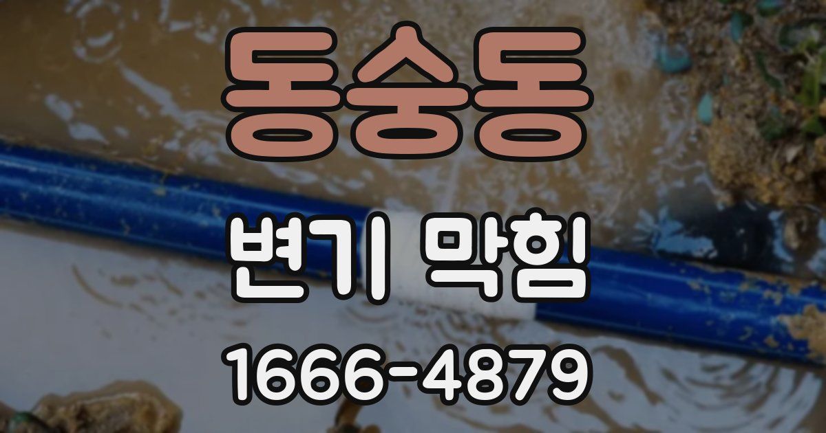 동숭동 변기 막힘