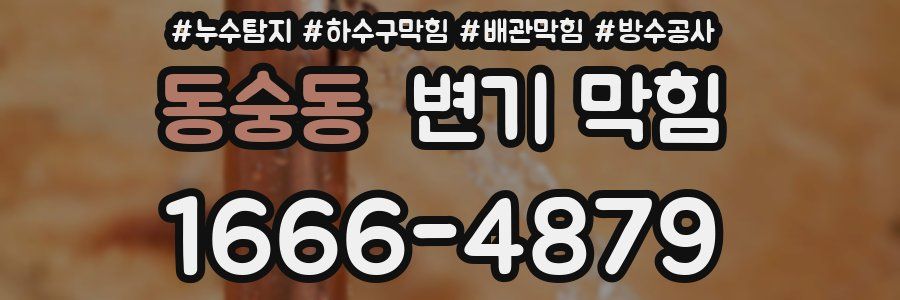 동숭동 변기 막힘
