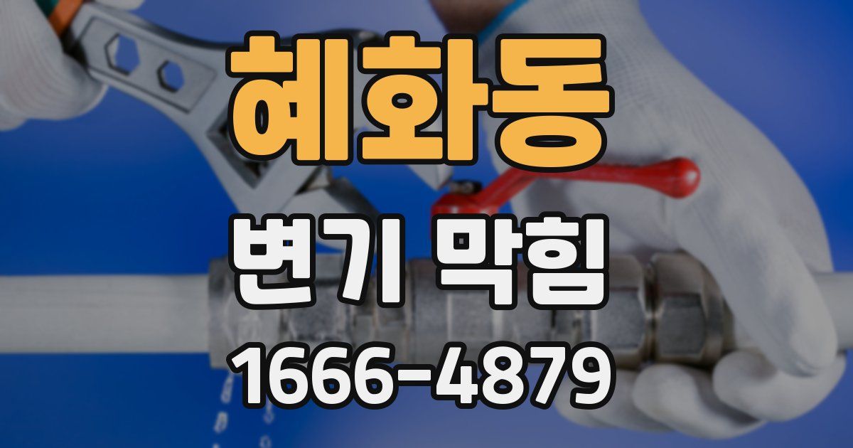 혜화동 변기 막힘