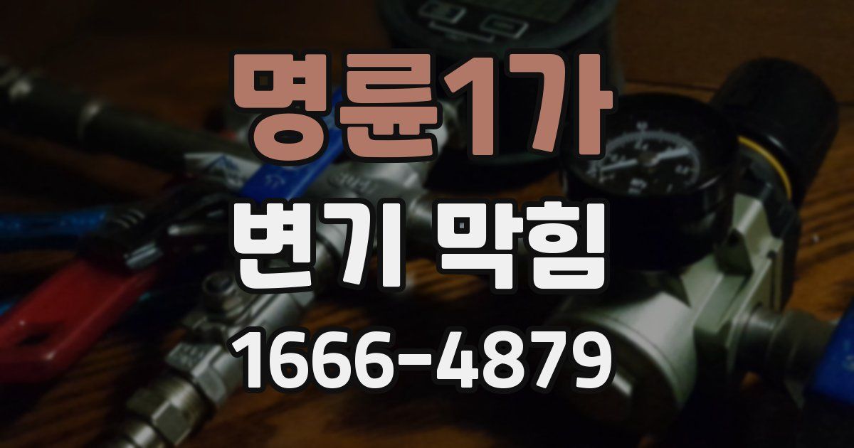 명륜1가 변기 막힘