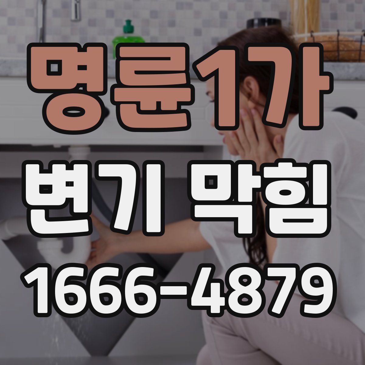 명륜1가 변기 막힘