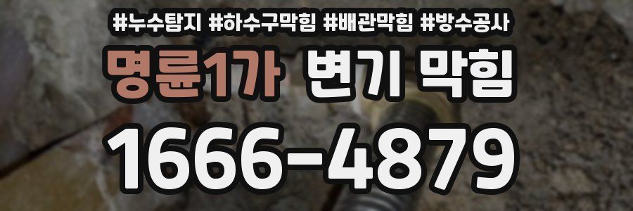 명륜1가 변기 막힘