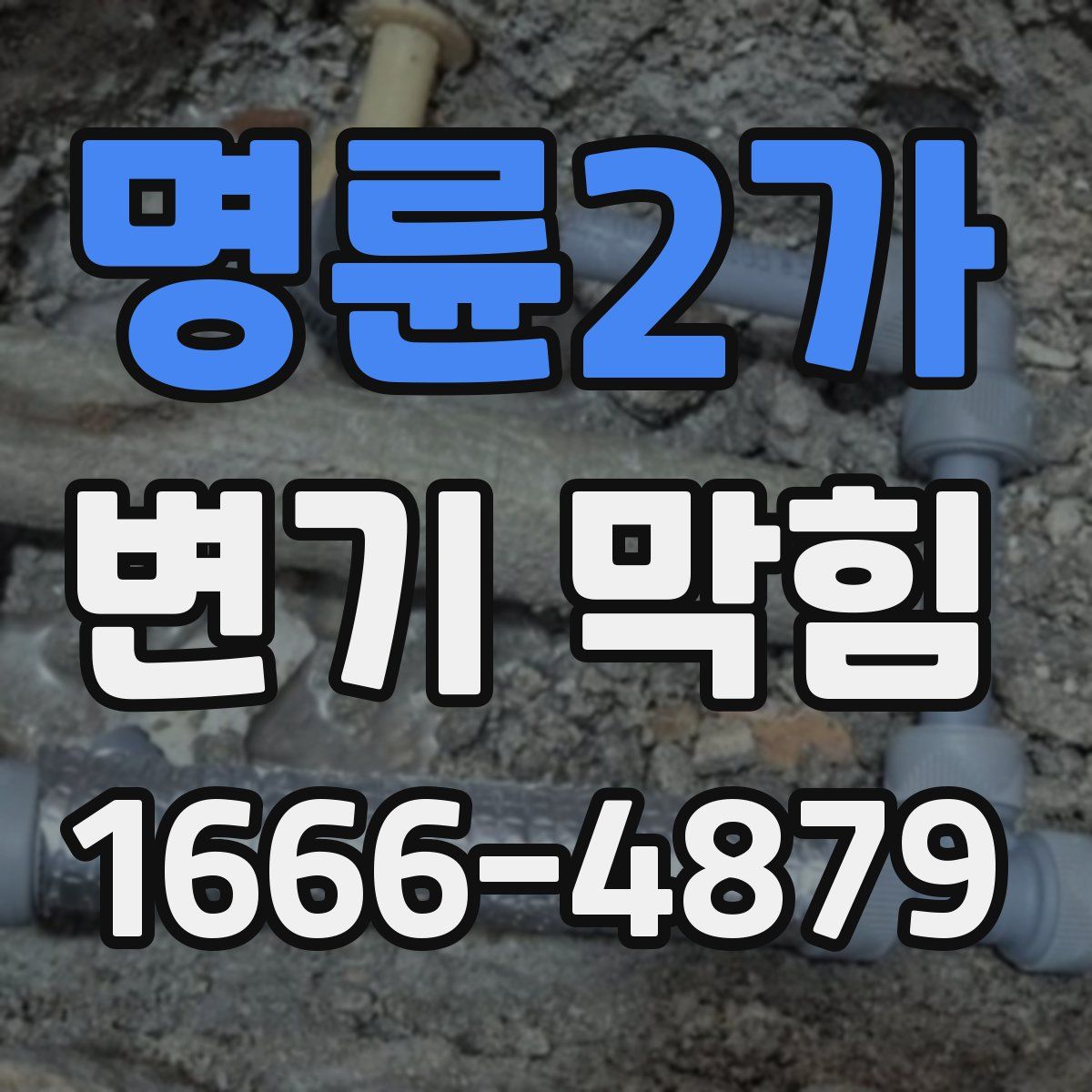 명륜2가 변기 막힘