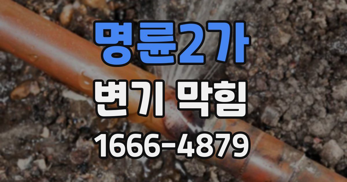 명륜2가 변기 막힘