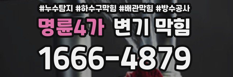 명륜4가 변기 막힘