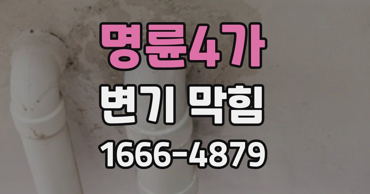 명륜4가 변기 막힘