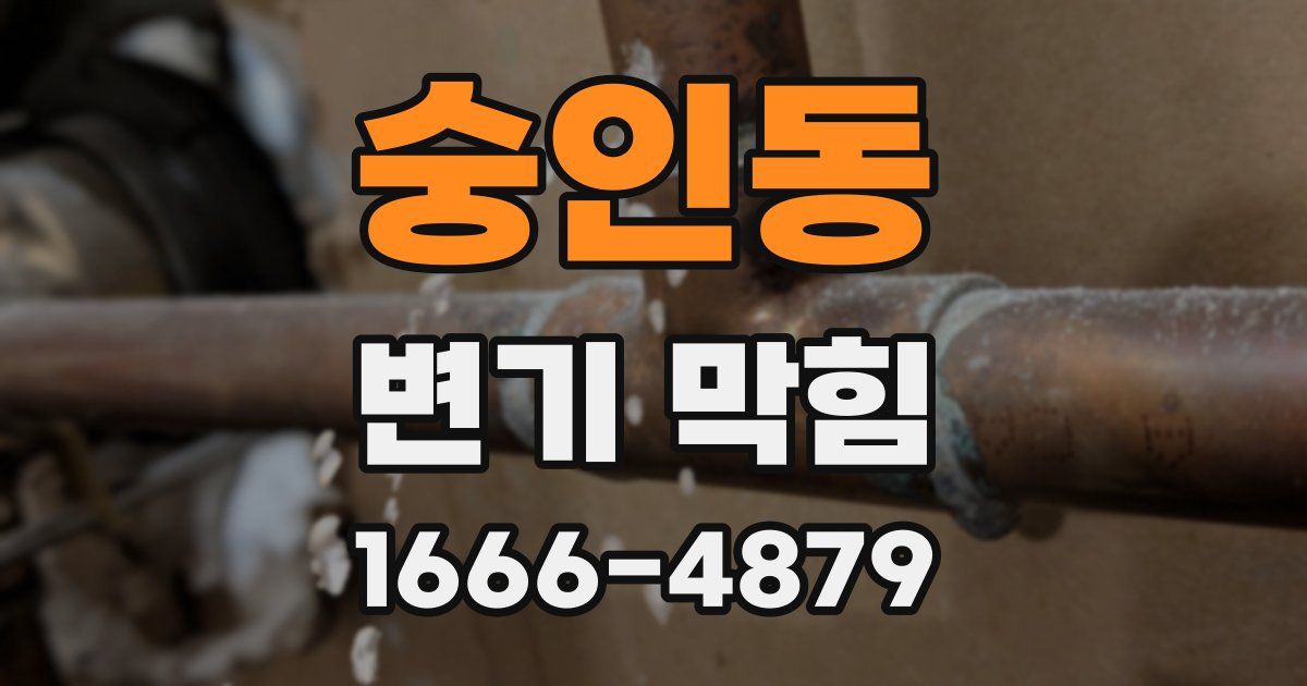 숭인동 변기 막힘