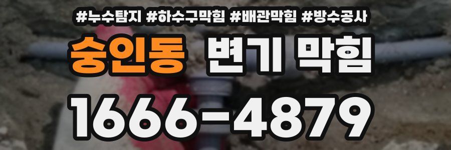 숭인동 변기 막힘