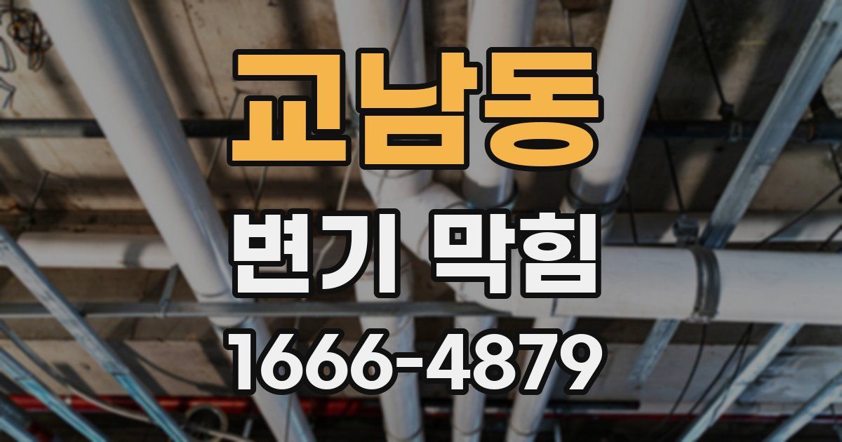교남동 변기 막힘