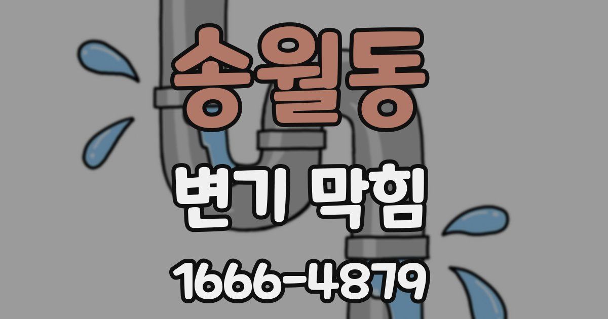 송월동 변기 막힘