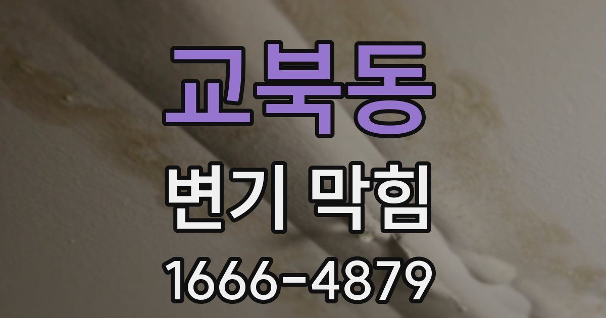 교북동 변기 막힘