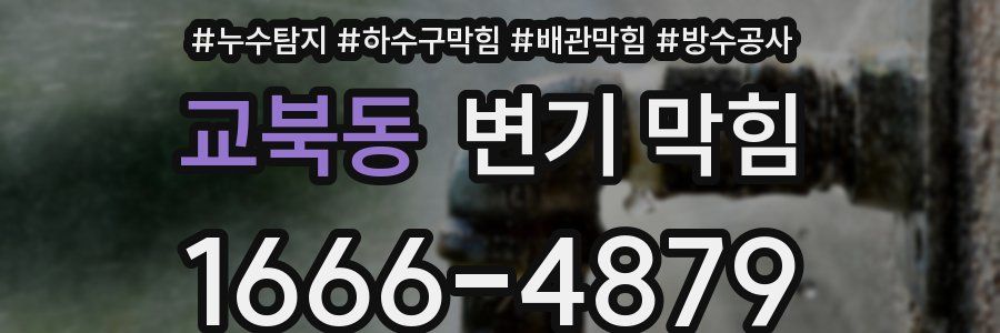 교북동 변기 막힘