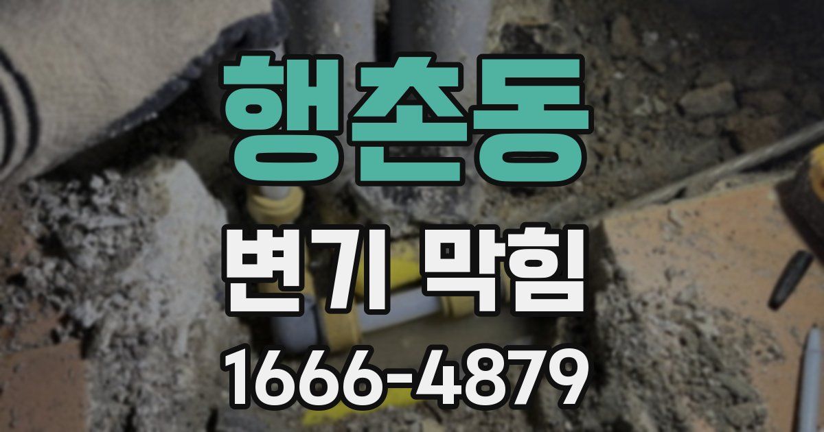 행촌동 변기 막힘