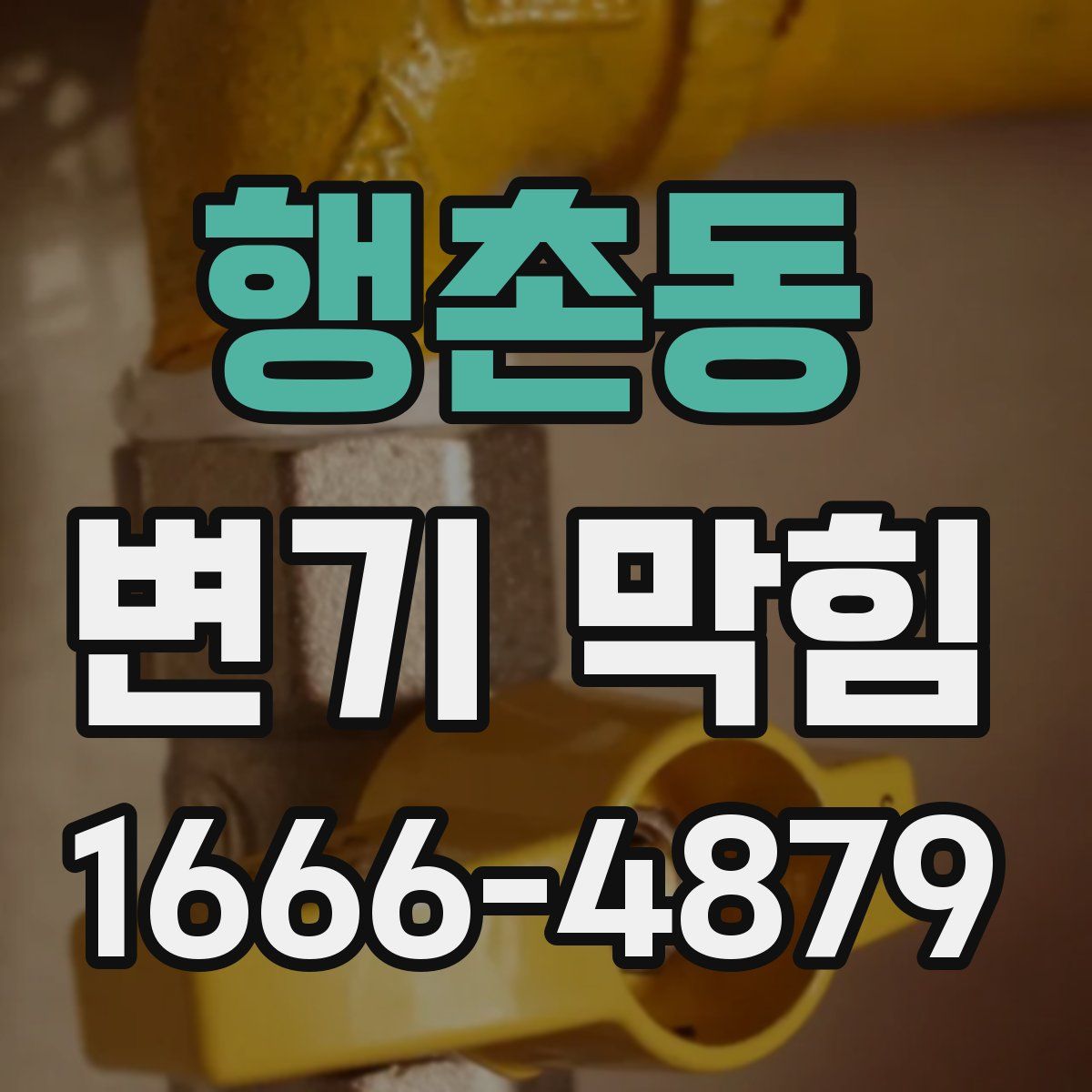 행촌동 변기 막힘