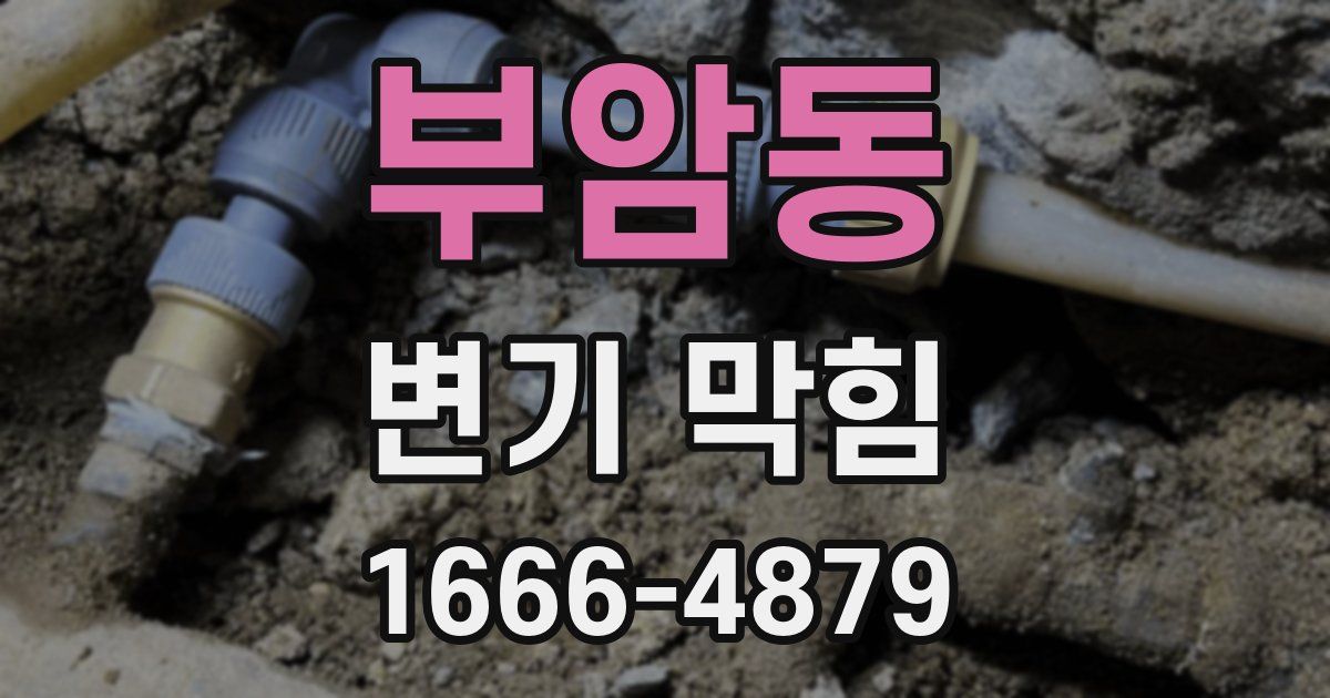 부암동 변기 막힘