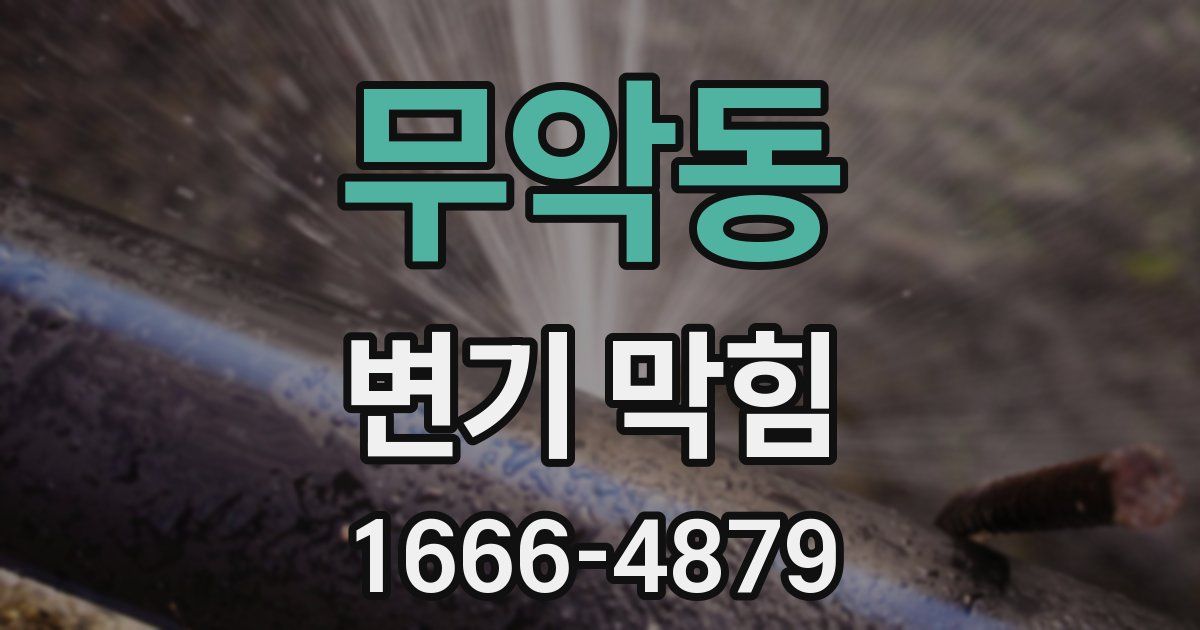 무악동 변기 막힘
