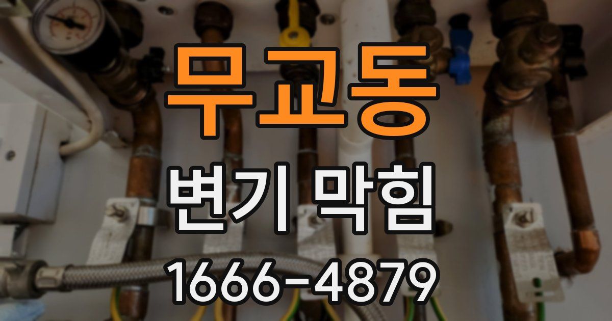무교동 변기 막힘