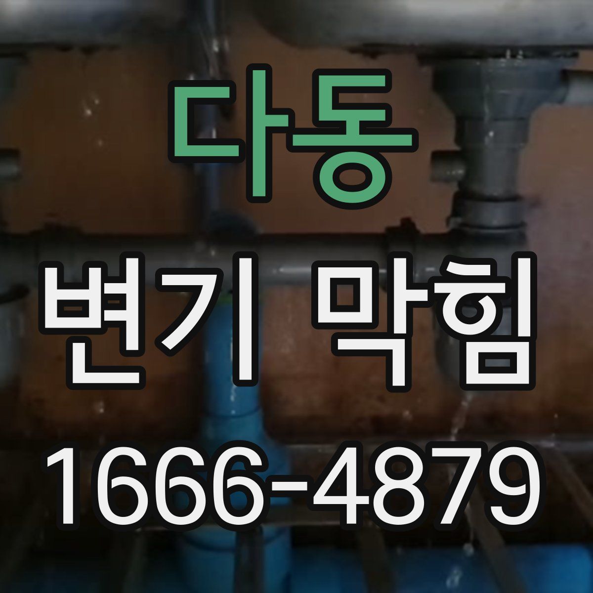 다동 변기 막힘
