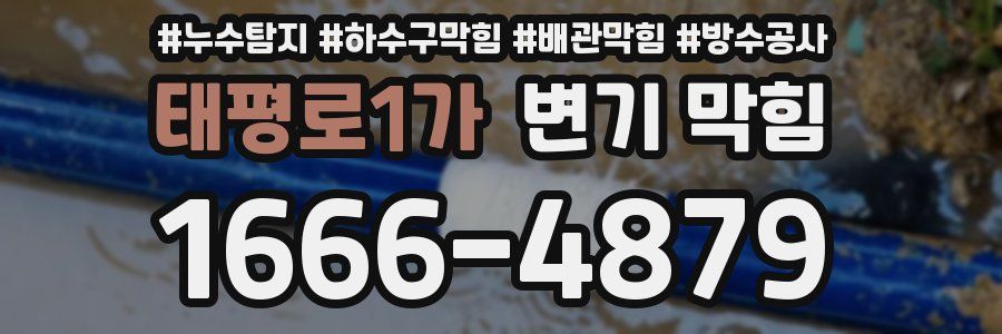 태평로1가 변기 막힘