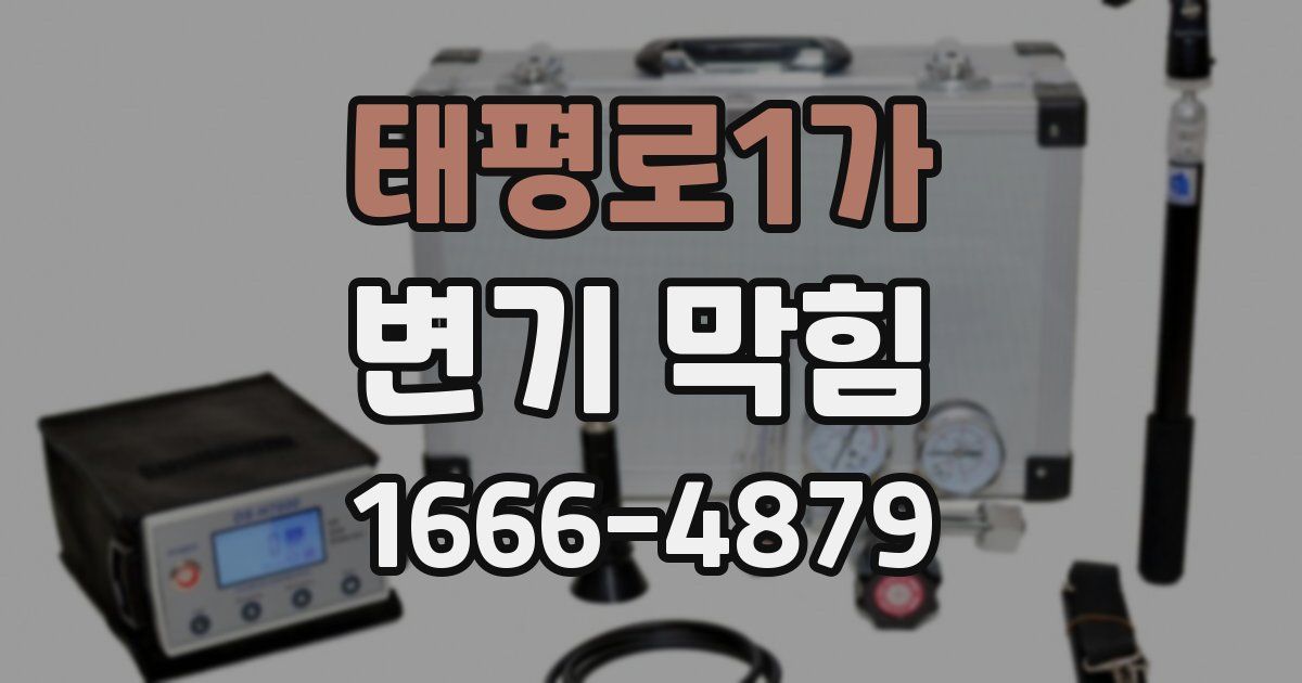 태평로1가 변기 막힘
