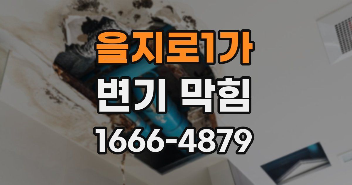 을지로1가 변기 막힘