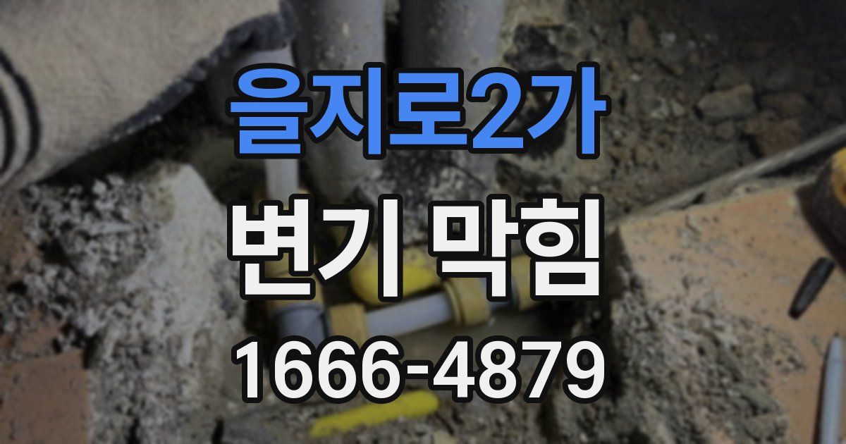 을지로2가 변기 막힘
