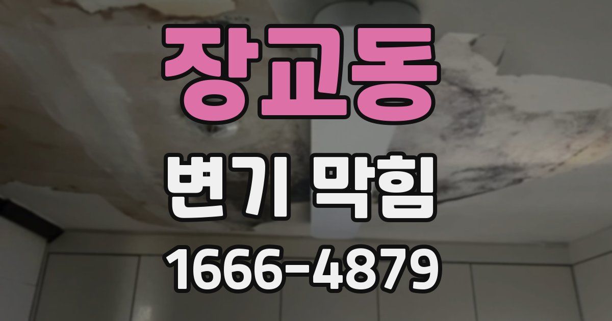 장교동 변기 막힘