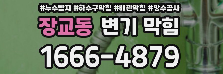 장교동 변기 막힘