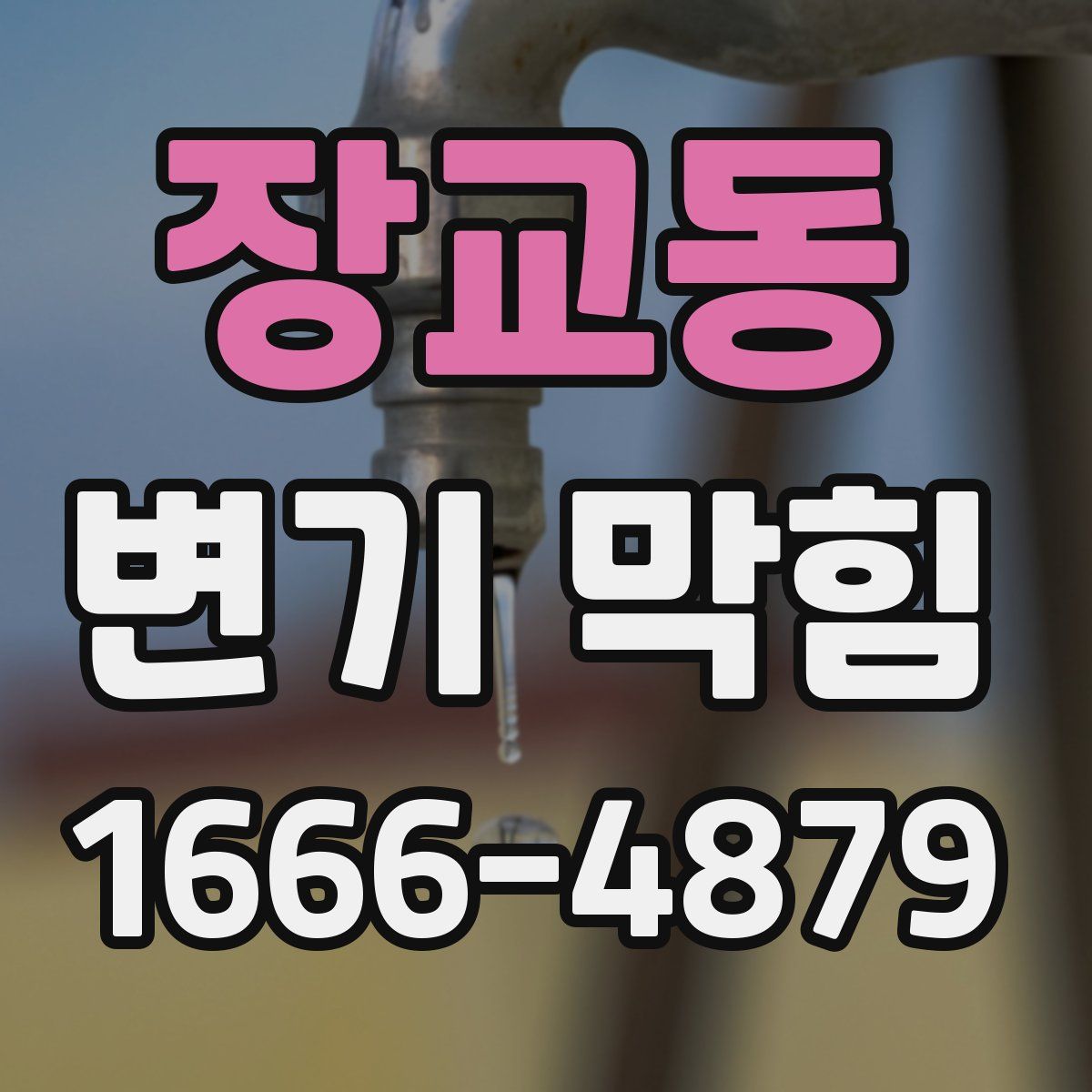 장교동 변기 막힘