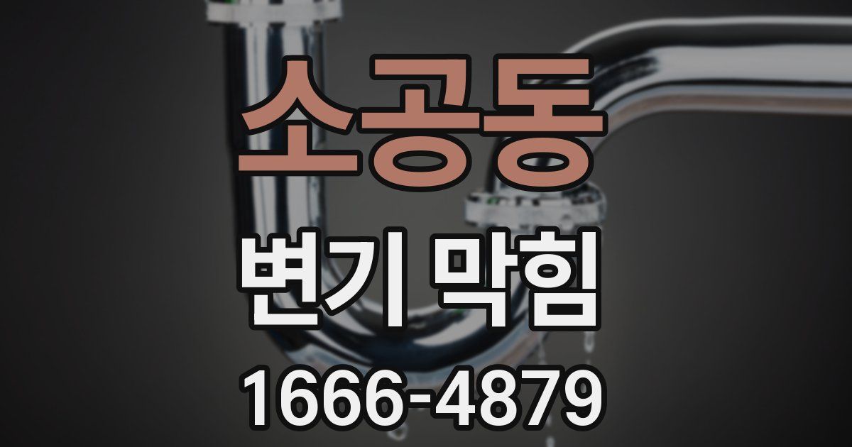 소공동 변기 막힘