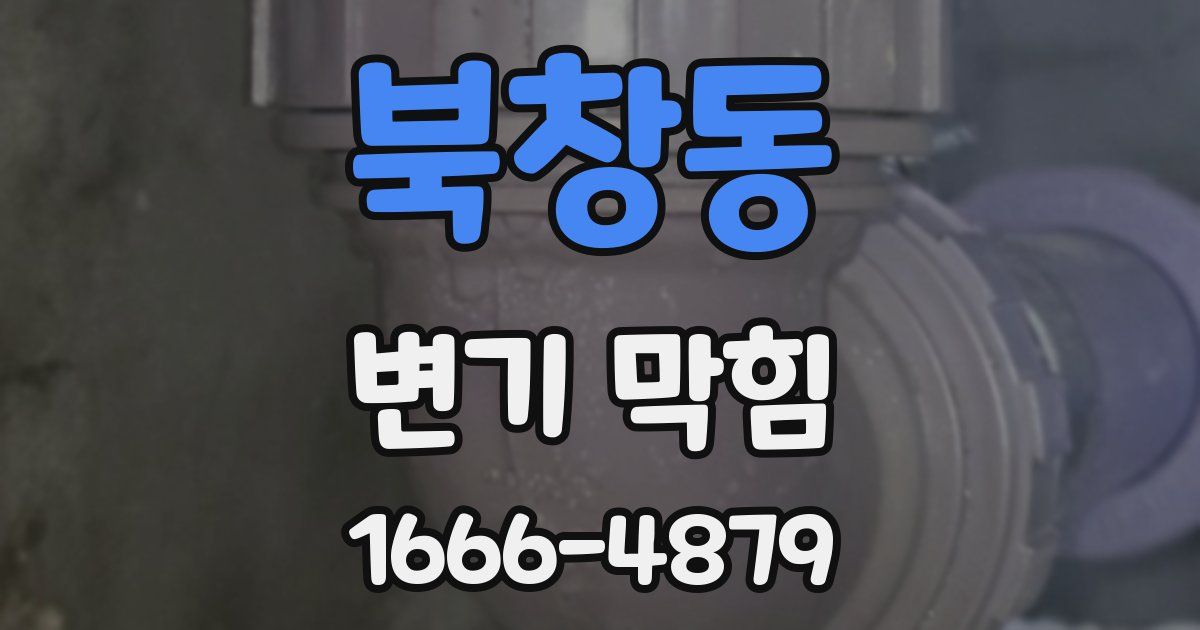 북창동 변기 막힘