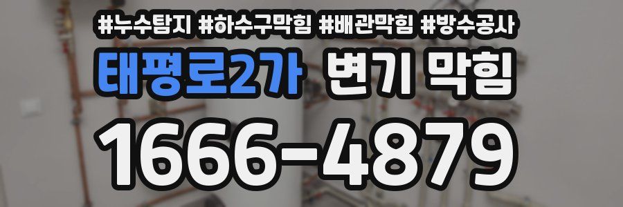 태평로2가 변기 막힘