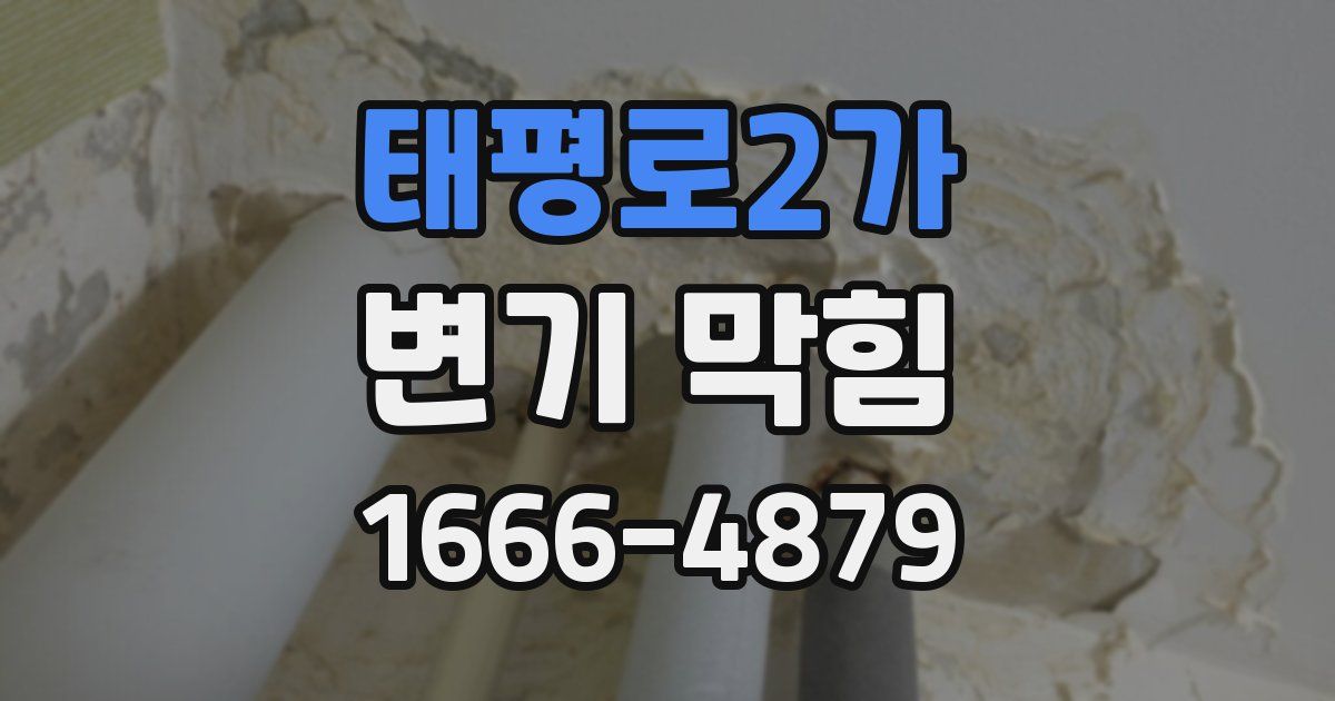태평로2가 변기 막힘