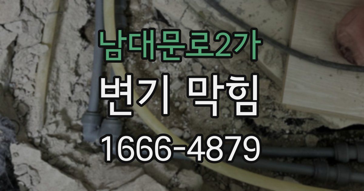 남대문로2가 변기 막힘