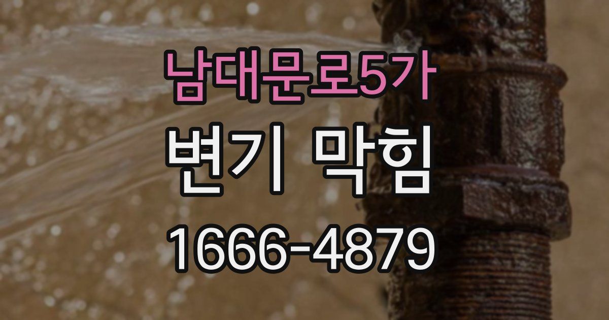 남대문로5가 변기 막힘