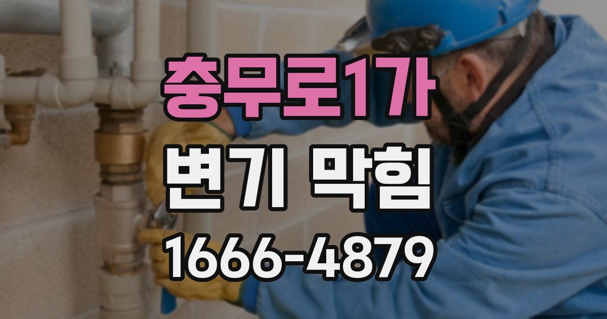 충무로1가 변기 막힘