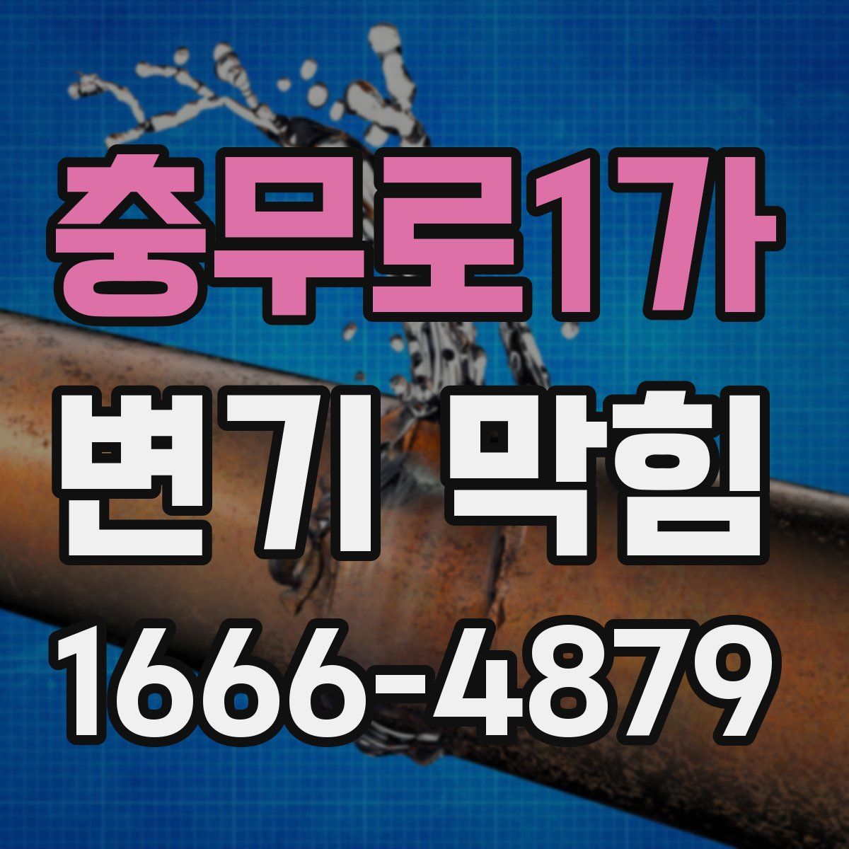 충무로1가 변기 막힘
