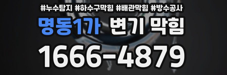 명동1가 변기 막힘