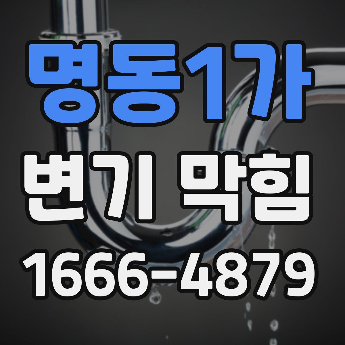 명동1가 변기 막힘