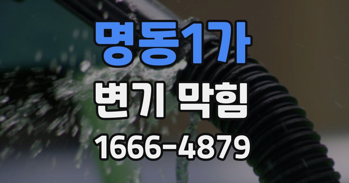 명동1가 변기 막힘