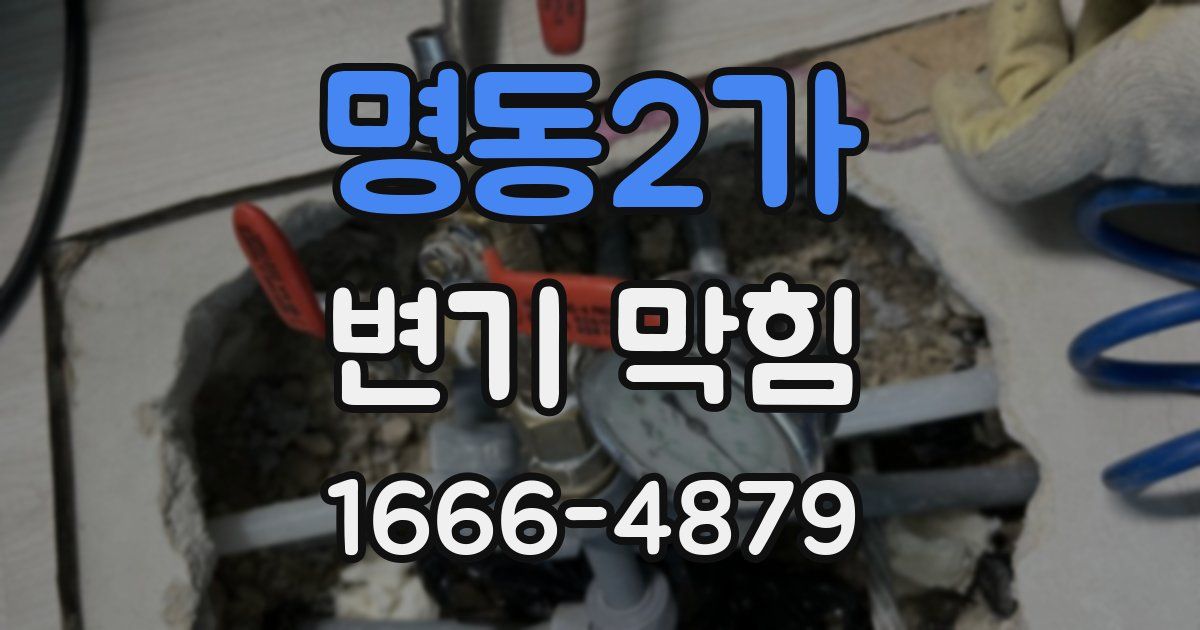 명동2가 변기 막힘