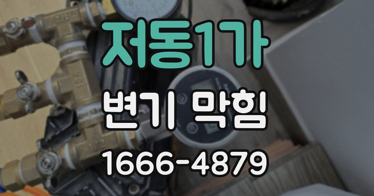 저동1가 변기 막힘