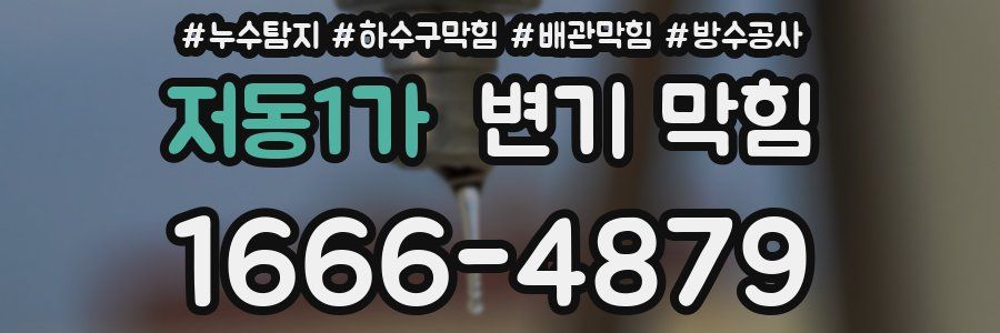 저동1가 변기 막힘