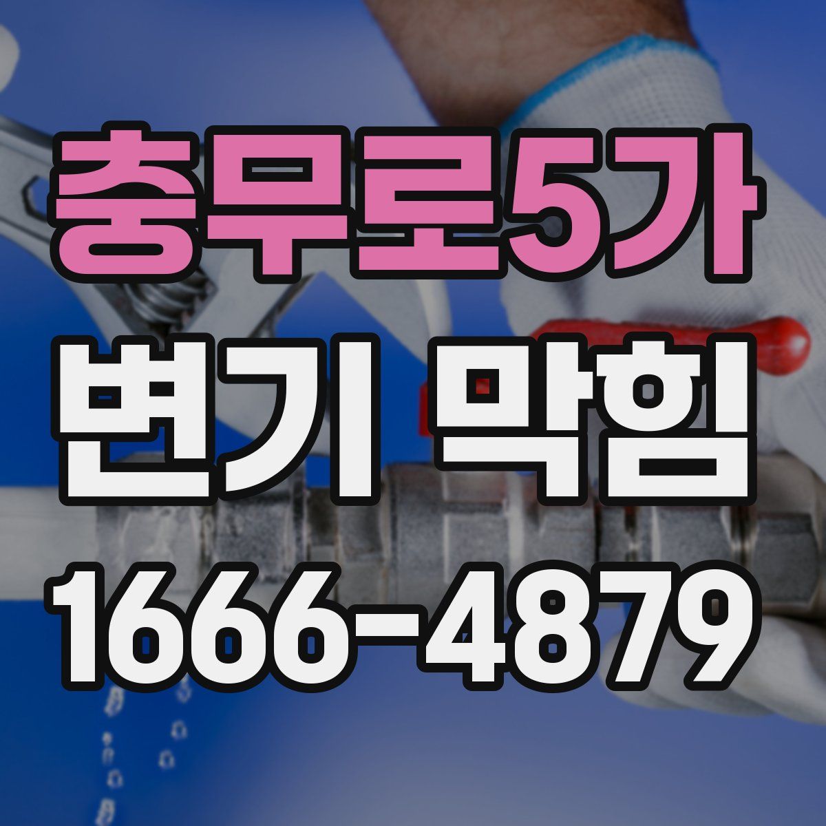 충무로5가 변기 막힘