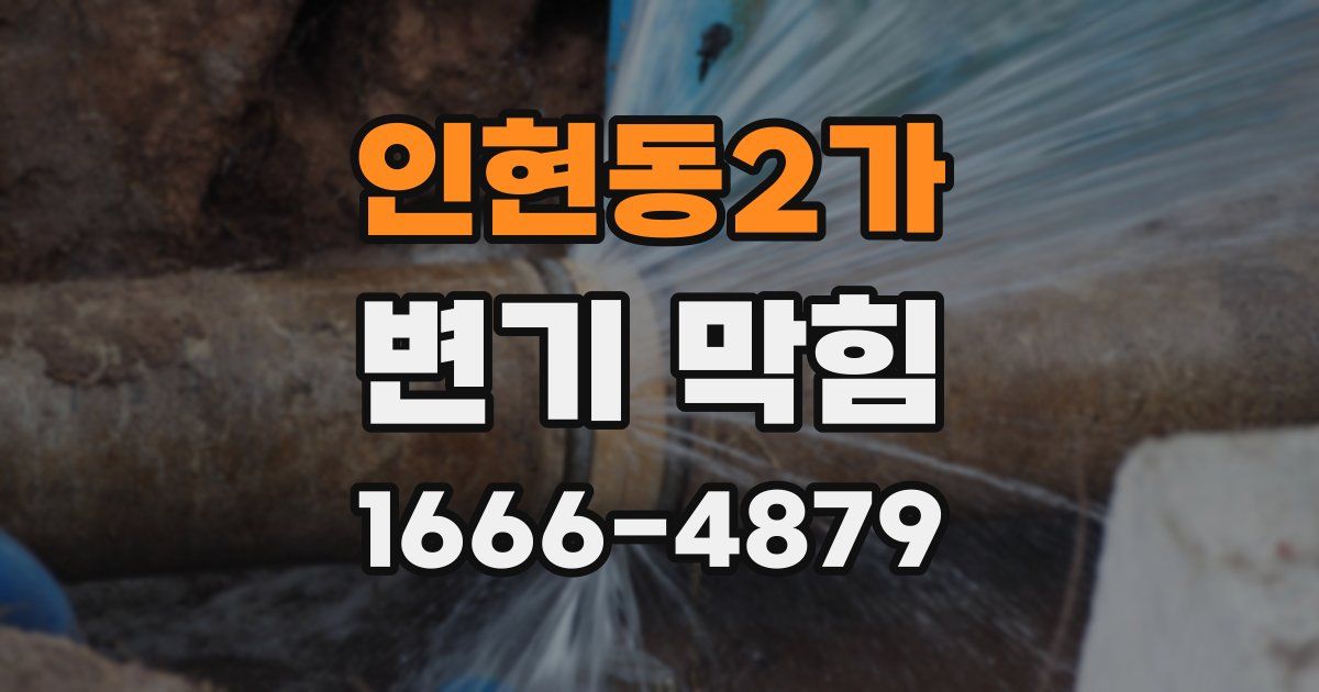 인현동2가 변기 막힘