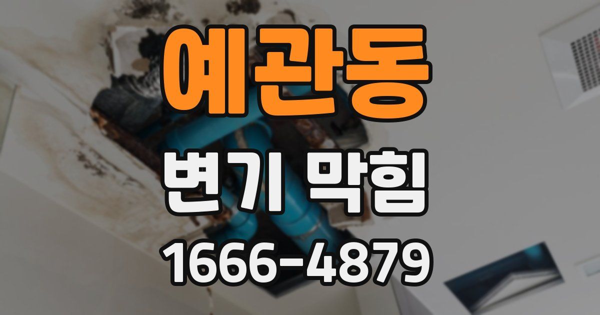 예관동 변기 막힘