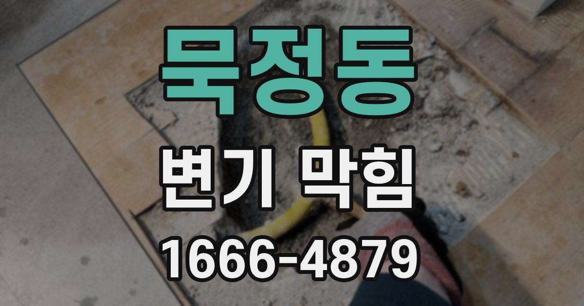 묵정동 변기 막힘