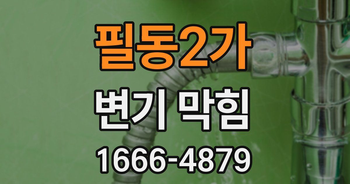필동2가 변기 막힘