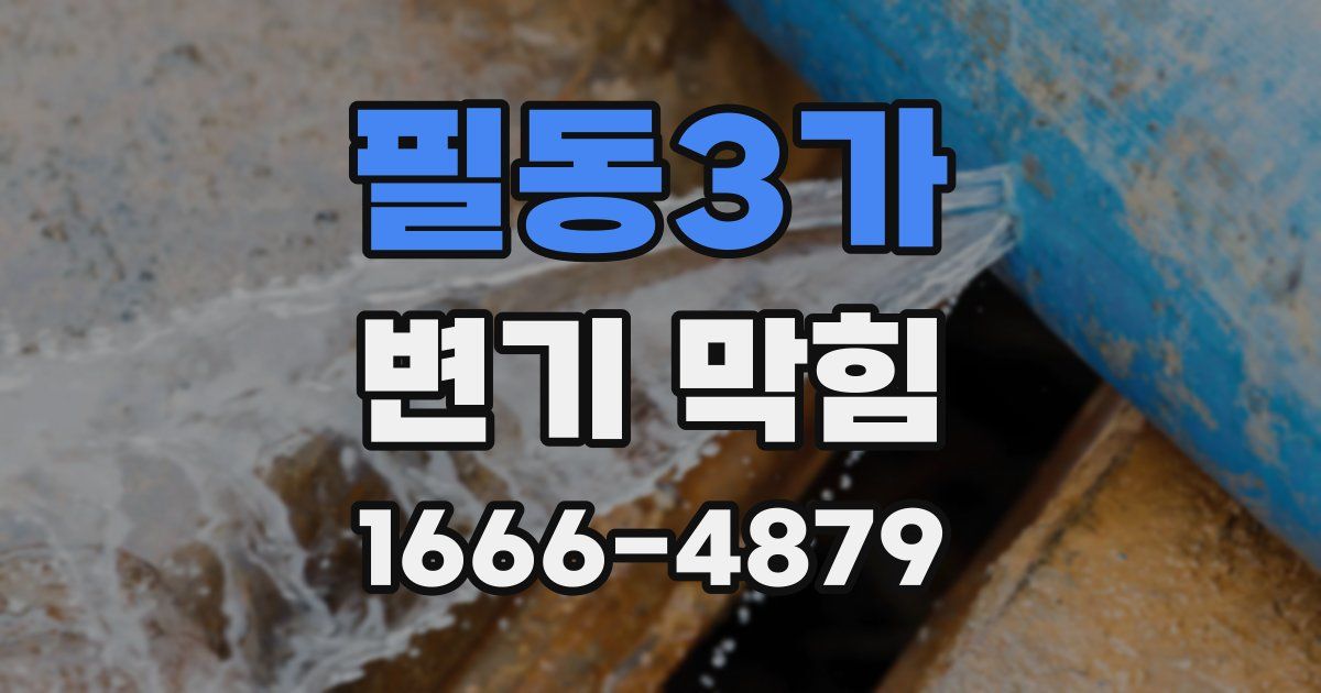 필동3가 변기 막힘