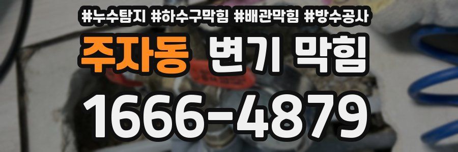 주자동 변기 막힘